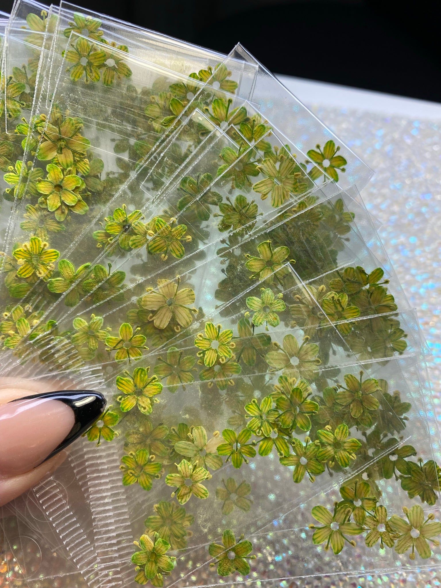 New York Fantasías on Instagram: Flores secas y otros diseños en naturaleza  muerta, tenemos disponibles para la decoración de tus uñas acrílicas,  postizas o naturales. ¡Visítanos! . . . . #naturalezamuerta #floressecas #