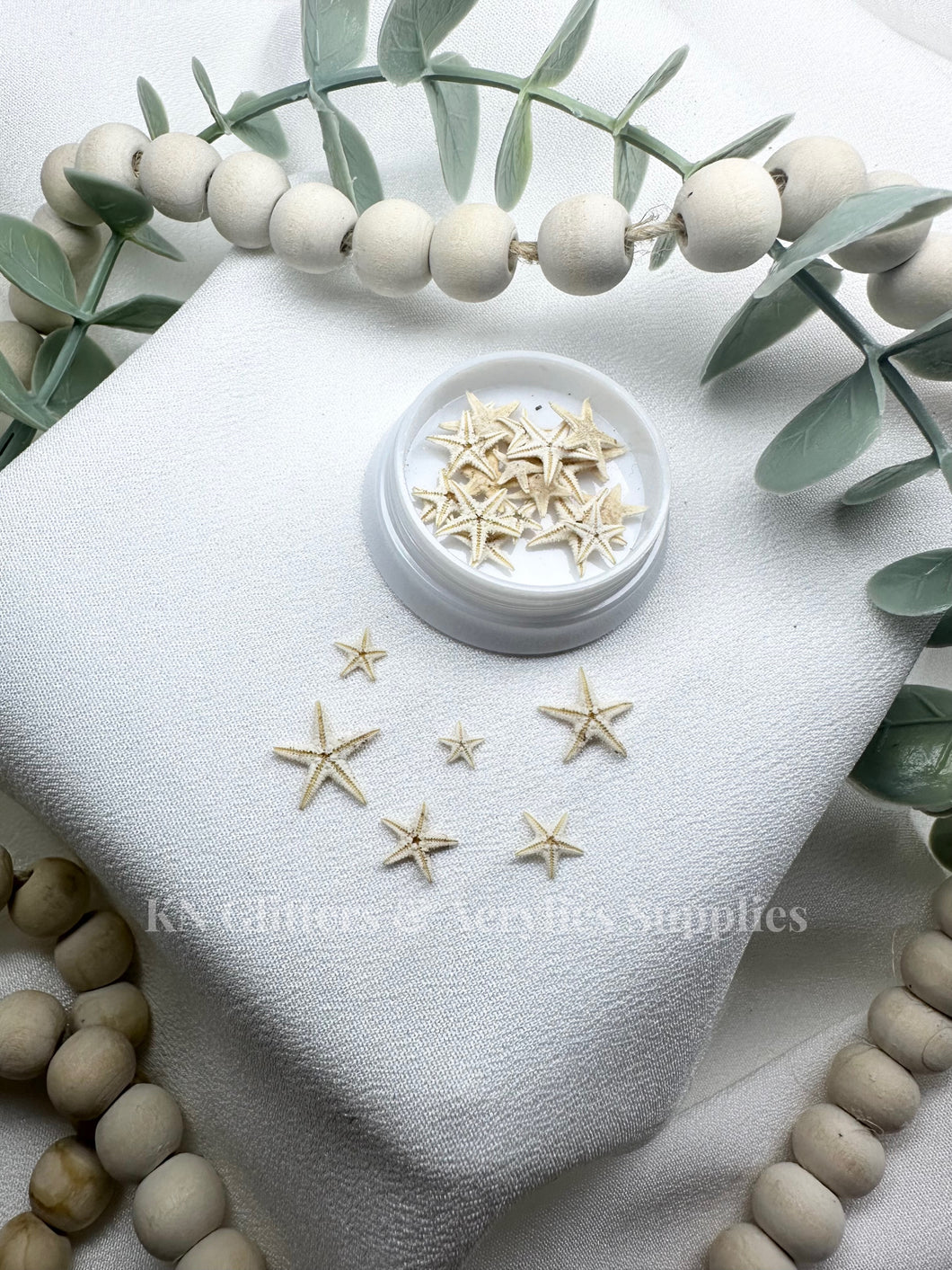 MINI STARFISH /ESTRELLAS DE MAR ⭐️20pcs